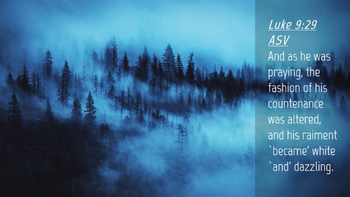 Picture 04 - Luke 9:29 ASV Desktop Wallpaper - And as he was praying, the fashion of his - Desktop Bible Verse Wallpaper