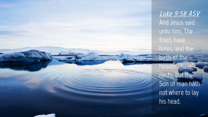 Picture 04 - Luke 9:58 ASV Desktop Wallpaper - And Jesus said unto him, The foxes have holes, - Desktop Bible Verse Wallpaper