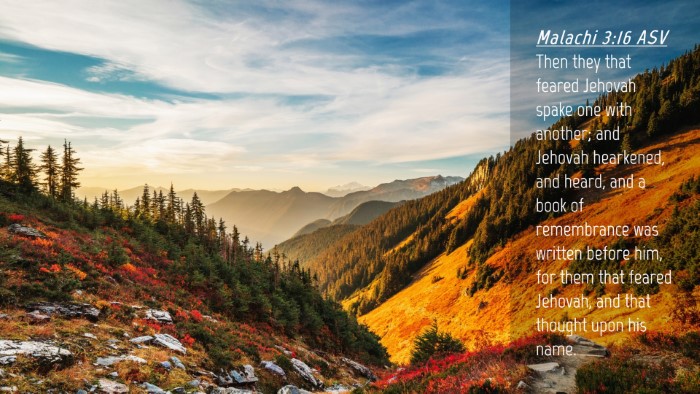 Picture 04 - Malachi 3:16 ASV Desktop Wallpaper - Then they that feared Jehovah spake one with - Desktop Bible Verse Wallpaper