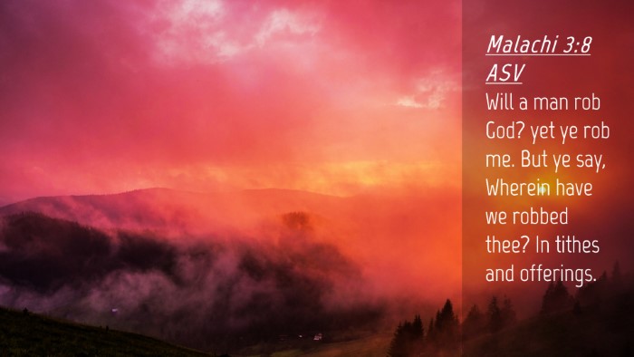 Picture 04 - Malachi 3:8 ASV Desktop Wallpaper - Will a man rob God? yet ye rob me. But ye say, - Desktop Bible Verse Wallpaper