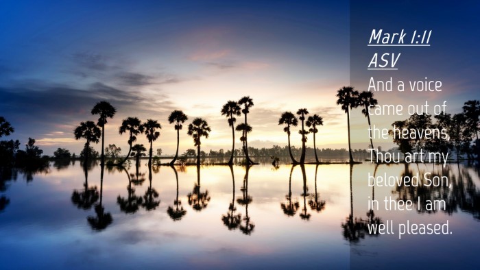 Picture 04 - Mark 1:11 ASV Desktop Wallpaper - And a voice came out of the heavens, Thou art my - Desktop Bible Verse Wallpaper