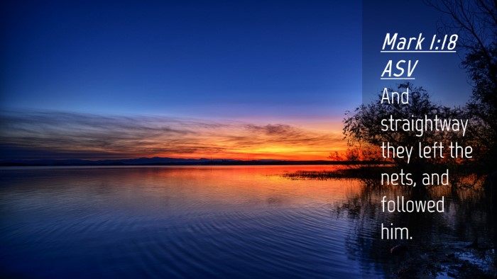 Picture 04 - Mark 1:18 ASV Desktop Wallpaper - And straightway they left the nets, and followed - Desktop Bible Verse Wallpaper