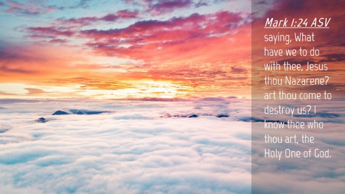 Picture 04 - Mark 1:24 ASV Desktop Wallpaper - saying, What have we to do with thee, Jesus thou - Desktop Bible Verse Wallpaper