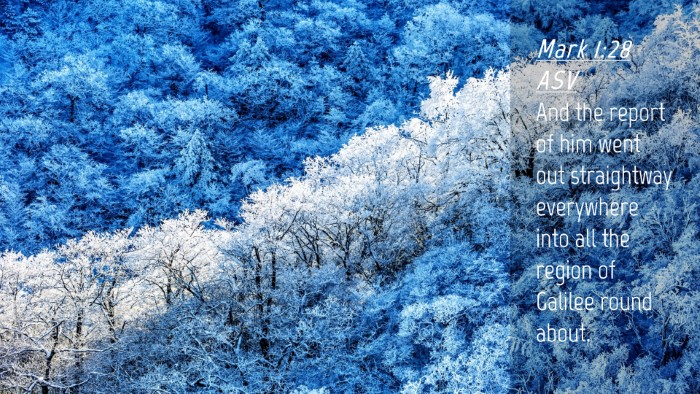 Picture 04 - Mark 1:28 ASV Desktop Wallpaper - And the report of him went out straightway - Desktop Bible Verse Wallpaper