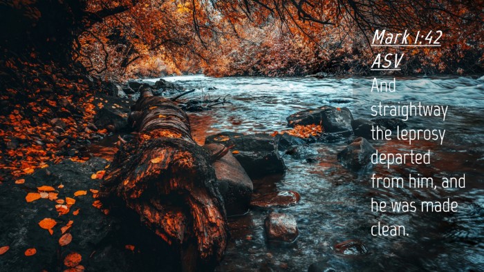 Picture 04 - Mark 1:42 ASV Desktop Wallpaper - And straightway the leprosy departed from him, - Desktop Bible Verse Wallpaper