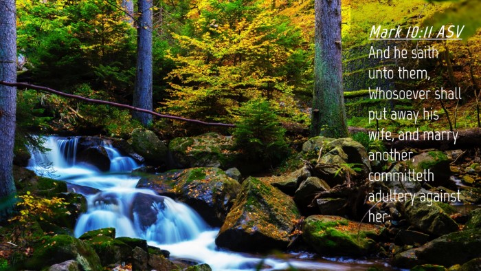 Picture 04 - Mark 10:11 ASV Desktop Wallpaper - And he saith unto them, Whosoever shall put away - Desktop Bible Verse Wallpaper
