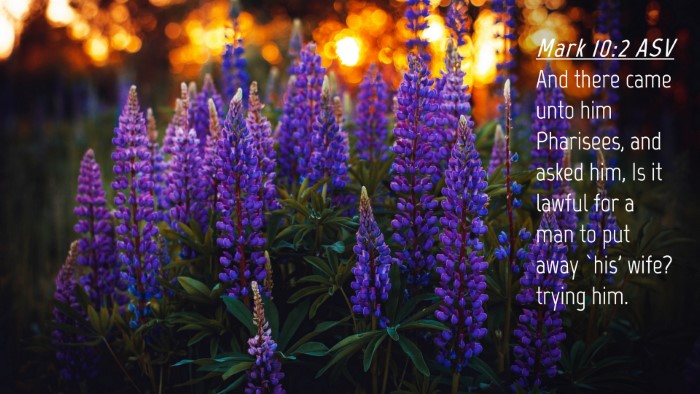 Picture 04 - Mark 10:2 ASV Desktop Wallpaper - And there came unto him Pharisees, and asked him, - Desktop Bible Verse Wallpaper