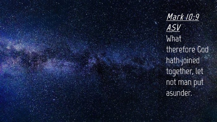 Picture 04 - Mark 10:9 ASV Desktop Wallpaper - What therefore God hath joined together, let not - Desktop Bible Verse Wallpaper