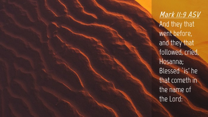 Picture 04 - Mark 11:9 ASV Desktop Wallpaper - And they that went before, and they that - Desktop Bible Verse Wallpaper