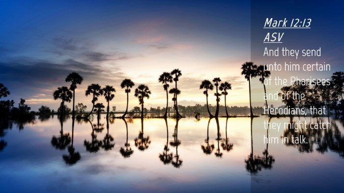 Picture 04 - Mark 12:13 ASV Desktop Wallpaper - And they send unto him certain of the Pharisees - Desktop Bible Verse Wallpaper