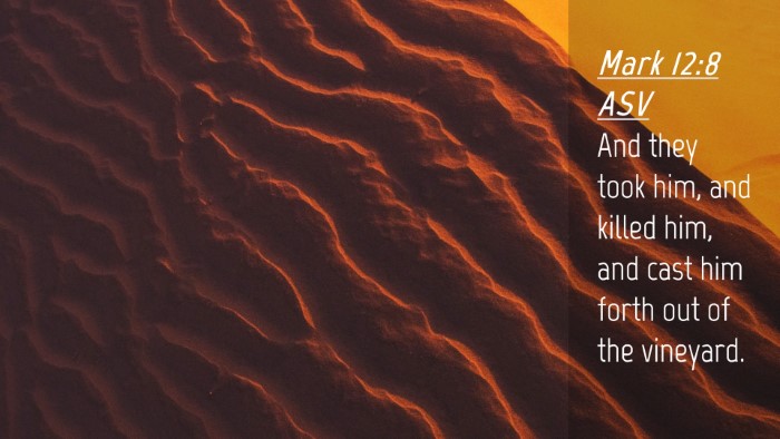 Picture 04 - Mark 12:8 ASV Desktop Wallpaper - And they took him, and killed him, and cast him - Desktop Bible Verse Wallpaper