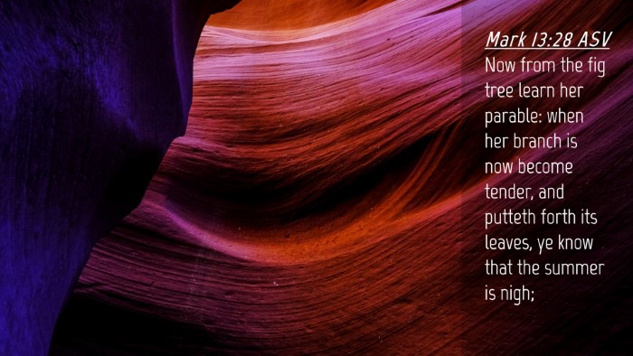 Picture 04 - Mark 13:28 ASV Desktop Wallpaper - Now from the fig tree learn her parable: when her - Desktop Bible Verse Wallpaper