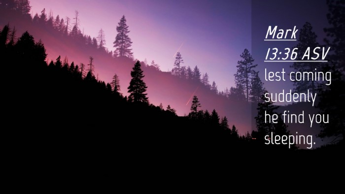Picture 04 - Mark 13:36 ASV Desktop Wallpaper - lest coming suddenly he find you - Desktop Bible Verse Wallpaper
