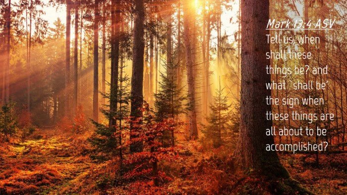 Picture 04 - Mark 13:4 ASV Desktop Wallpaper - Tell us, when shall these things be? and what - Desktop Bible Verse Wallpaper