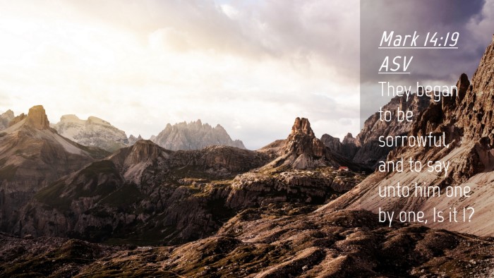 Picture 04 - Mark 14:19 ASV Desktop Wallpaper - They began to be sorrowful, and to say unto him - Desktop Bible Verse Wallpaper