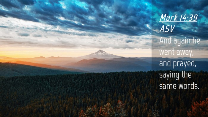 Picture 04 - Mark 14:39 ASV Desktop Wallpaper - And again he went away, and prayed, saying the - Desktop Bible Verse Wallpaper