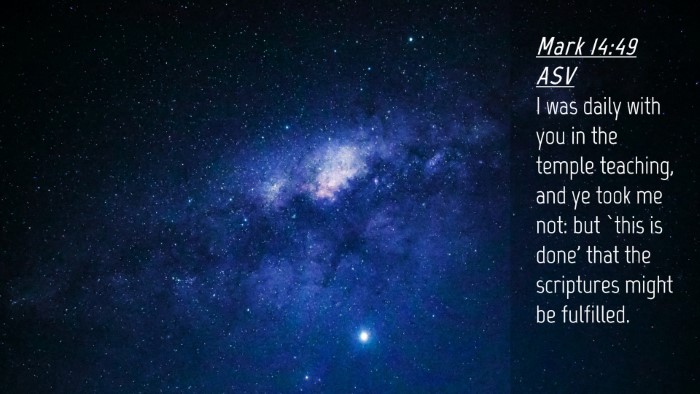 Picture 04 - Mark 14:49 ASV Desktop Wallpaper - I was daily with you in the temple teaching, and - Desktop Bible Verse Wallpaper