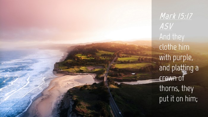 Picture 04 - Mark 15:17 ASV Desktop Wallpaper - And they clothe him with purple, and platting a - Desktop Bible Verse Wallpaper