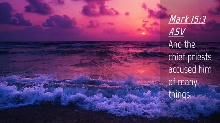 Picture 04 - Mark 15:3 ASV Desktop Wallpaper - And the chief priests accused him of many - Desktop Bible Verse Wallpaper