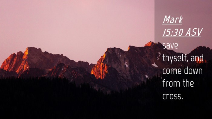 Picture 04 - Mark 15:30 ASV Desktop Wallpaper - save thyself, and come down from the - Desktop Bible Verse Wallpaper