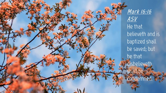 Picture 04 - Mark 16:16 ASV Desktop Wallpaper - He that believeth and is baptized shall be saved; - Desktop Bible Verse Wallpaper