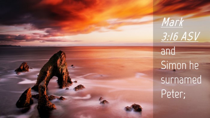 Picture 04 - Mark 3:16 ASV Desktop Wallpaper - and Simon he surnamed - Desktop Bible Verse Wallpaper