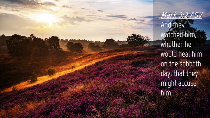 Picture 04 - Mark 3:2 ASV Desktop Wallpaper - And they watched him, whether he would heal him - Desktop Bible Verse Wallpaper