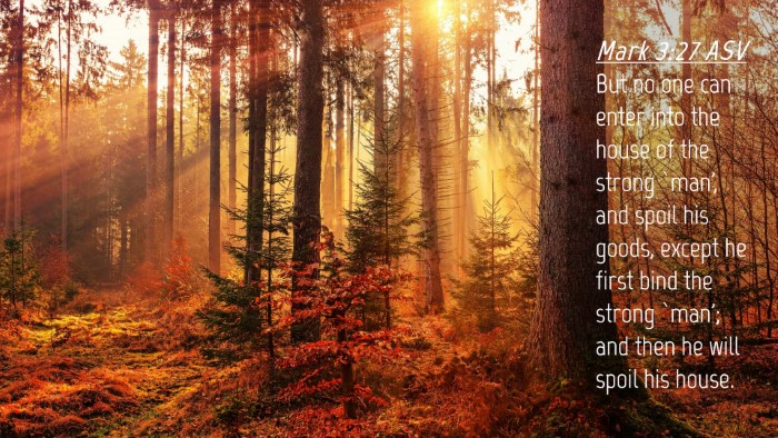 Picture 04 - Mark 3:27 ASV Desktop Wallpaper - But no one can enter into the house of the strong - Desktop Bible Verse Wallpaper