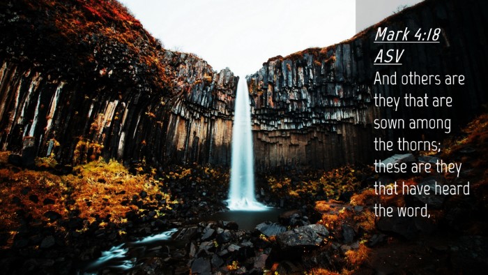 Picture 04 - Mark 4:18 ASV Desktop Wallpaper - And others are they that are sown among the - Desktop Bible Verse Wallpaper