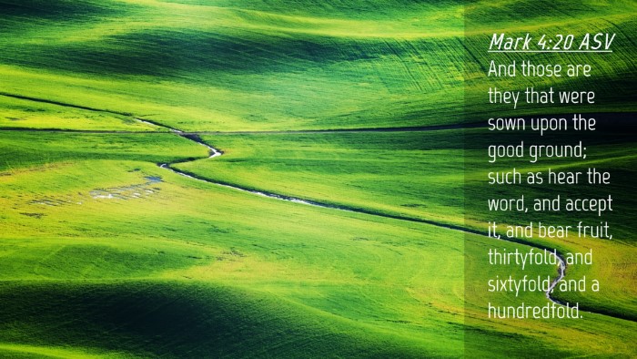 Picture 04 - Mark 4:20 ASV Desktop Wallpaper - And those are they that were sown upon the good - Desktop Bible Verse Wallpaper