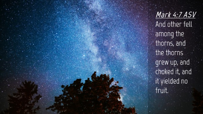 Picture 04 - Mark 4:7 ASV Desktop Wallpaper - And other fell among the thorns, and the thorns - Desktop Bible Verse Wallpaper