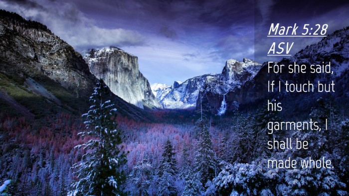 Picture 04 - Mark 5:28 ASV Desktop Wallpaper - For she said, If I touch but his garments, I - Desktop Bible Verse Wallpaper