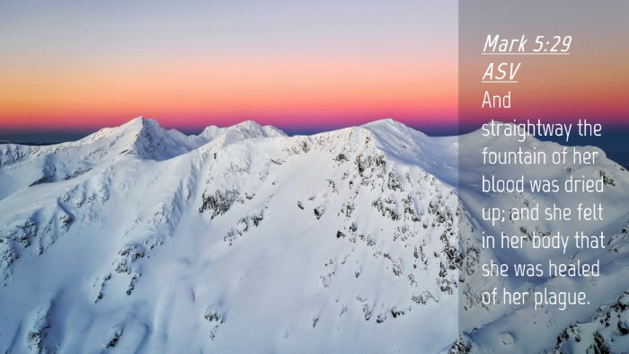 Picture 04 - Mark 5:29 ASV Desktop Wallpaper - And straightway the fountain of her blood was - Desktop Bible Verse Wallpaper