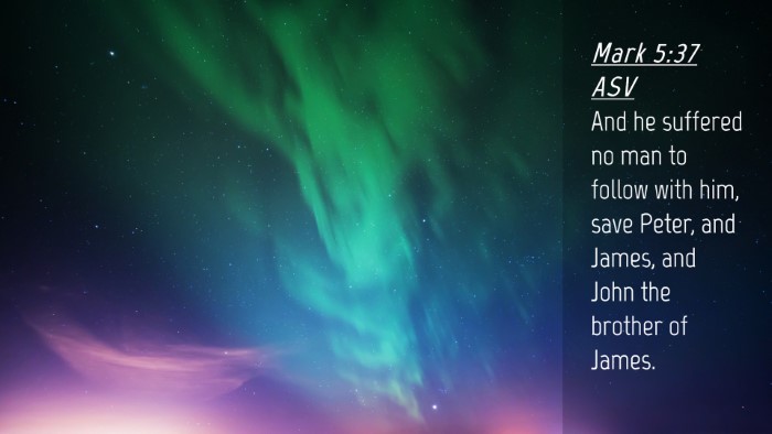 Picture 04 - Mark 5:37 ASV Desktop Wallpaper - And he suffered no man to follow with him, save - Desktop Bible Verse Wallpaper