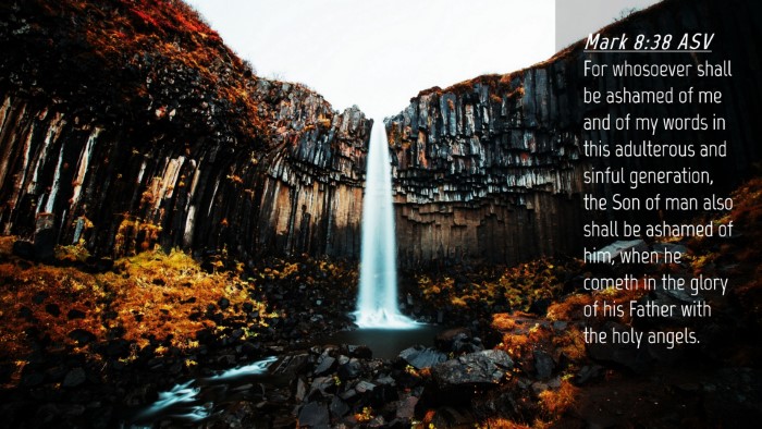 Picture 04 - Mark 8:38 ASV Desktop Wallpaper - For whosoever shall be ashamed of me and of my - Desktop Bible Verse Wallpaper