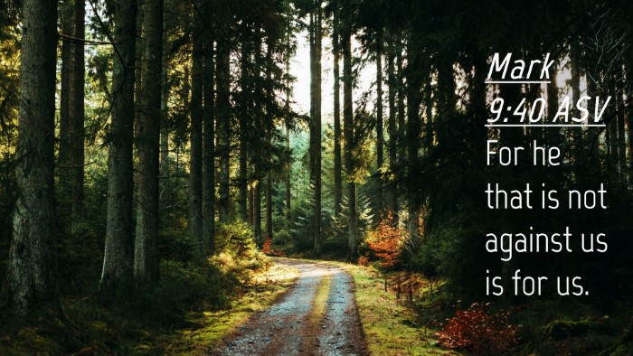Picture 04 - Mark 9:40 ASV Desktop Wallpaper - For he that is not against us is for - Desktop Bible Verse Wallpaper