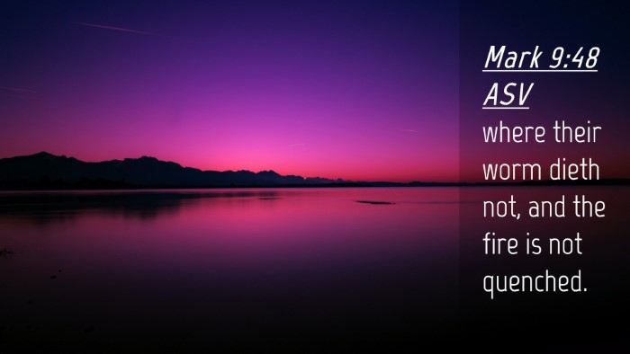 Picture 04 - Mark 9:48 ASV Desktop Wallpaper - where their worm dieth not, and the fire is not - Desktop Bible Verse Wallpaper