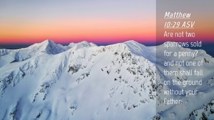 Picture 04 - Matthew 10:29 ASV Desktop Wallpaper - Are not two sparrows sold for a penny? and not - Desktop Bible Verse Wallpaper