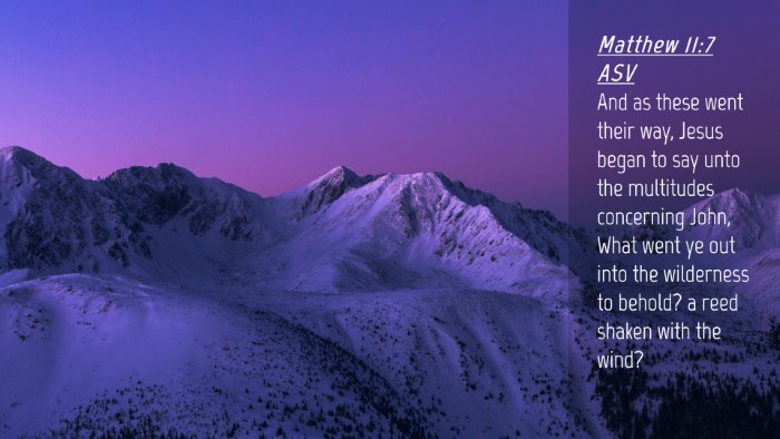 Picture 04 - Matthew 11:7 ASV Desktop Wallpaper - And as these went their way, Jesus began to say - Desktop Bible Verse Wallpaper