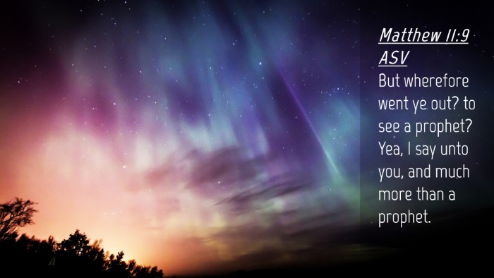 Picture 04 - Matthew 11:9 ASV Desktop Wallpaper - But wherefore went ye out? to see a prophet? Yea, - Desktop Bible Verse Wallpaper