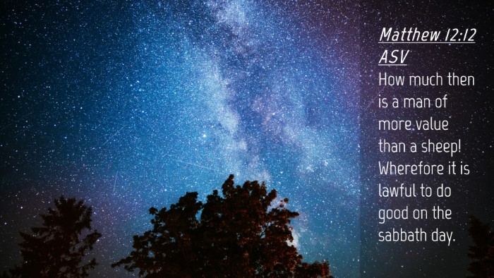 Picture 04 - Matthew 12:12 ASV Desktop Wallpaper - How much then is a man of more value than a - Desktop Bible Verse Wallpaper