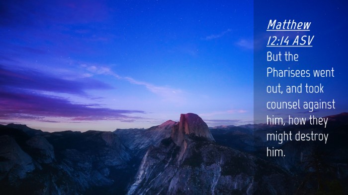 Picture 04 - Matthew 12:14 ASV Desktop Wallpaper - But the Pharisees went out, and took counsel - Desktop Bible Verse Wallpaper