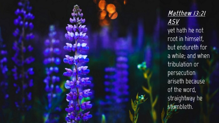 Picture 04 - Matthew 13:21 ASV Desktop Wallpaper - yet hath he not root in himself, but endureth for - Desktop Bible Verse Wallpaper