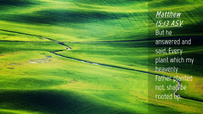Picture 04 - Matthew 15:13 ASV Desktop Wallpaper - But he answered and said, Every plant which my - Desktop Bible Verse Wallpaper