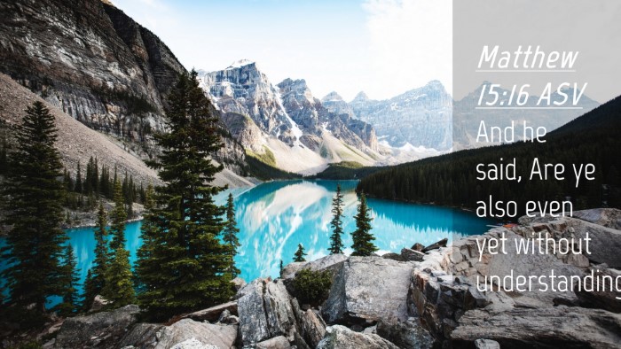 Picture 04 - Matthew 15:16 ASV Desktop Wallpaper - And he said, Are ye also even yet without - Desktop Bible Verse Wallpaper