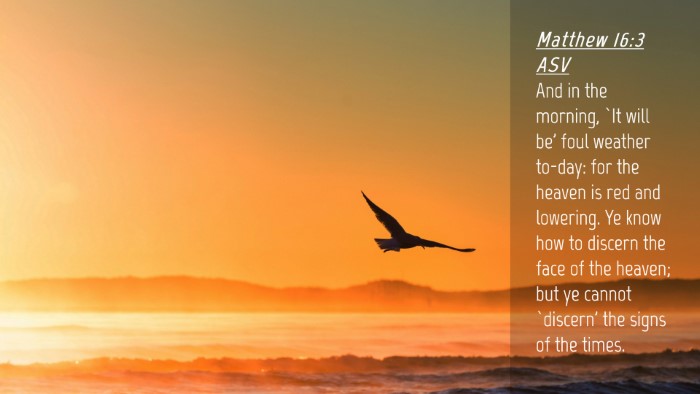 Picture 04 - Matthew 16:3 ASV Desktop Wallpaper - And in the morning, `It will be' foul weather - Desktop Bible Verse Wallpaper