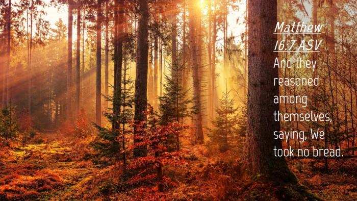 Picture 04 - Matthew 16:7 ASV Desktop Wallpaper - And they reasoned among themselves, saying, We - Desktop Bible Verse Wallpaper