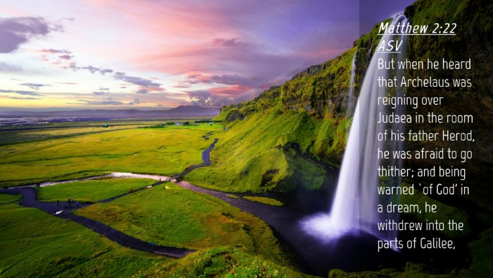 Picture 04 - Matthew 2:22 ASV Desktop Wallpaper - But when he heard that Archelaus was reigning - Desktop Bible Verse Wallpaper