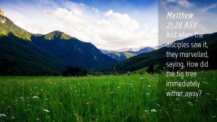 Picture 04 - Matthew 21:20 ASV Desktop Wallpaper - And when the disciples saw it, they marvelled, - Desktop Bible Verse Wallpaper