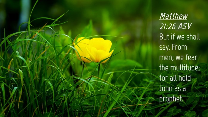 Picture 04 - Matthew 21:26 ASV Desktop Wallpaper - But if we shall say, From men; we fear the - Desktop Bible Verse Wallpaper